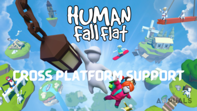 Does Human Fall Flat Support Cross Platform