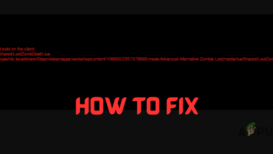 How to Fix File Doesn't Exist on Client Error in Project Zomboid